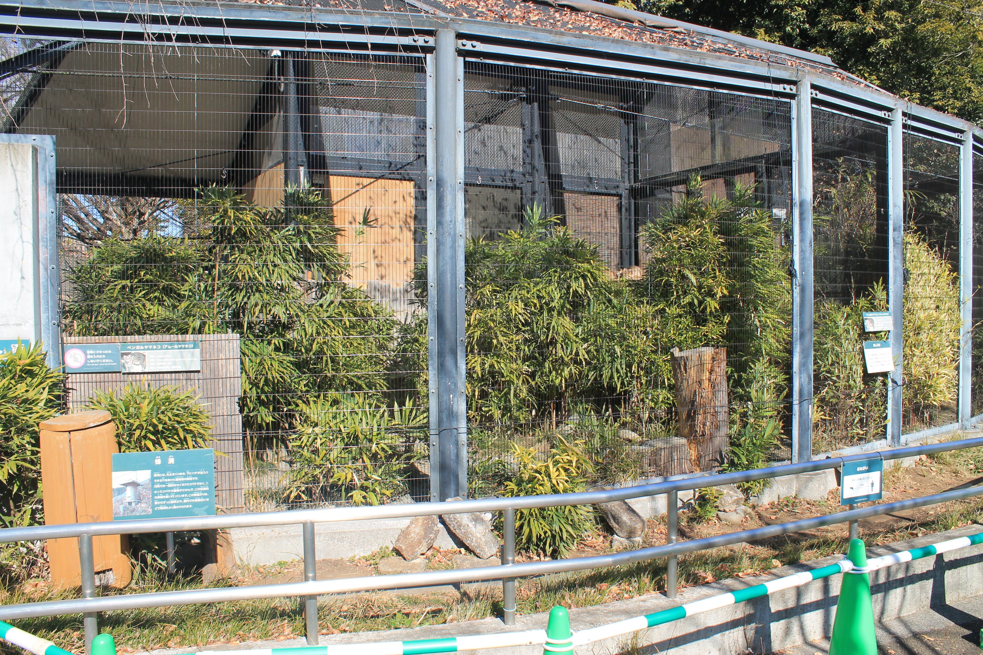 Enclosures for Tsushima Leopard Cats
