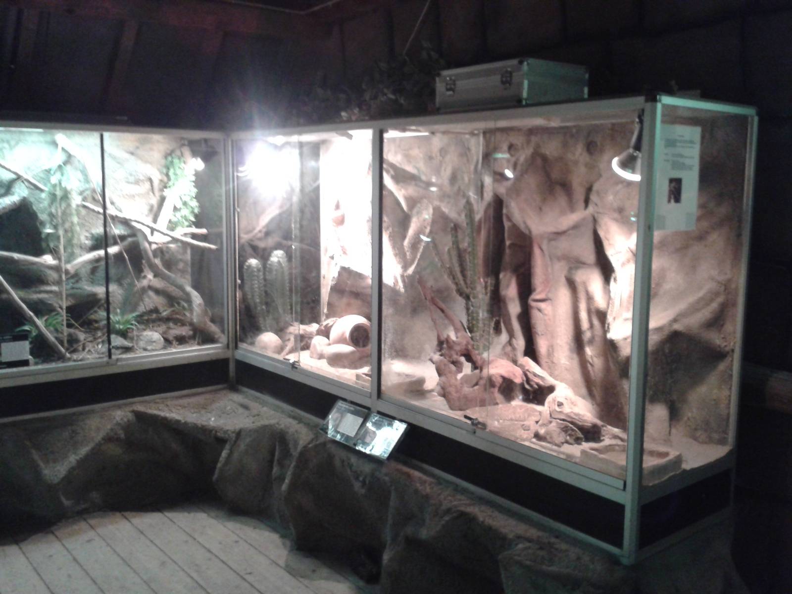 enclosures for venomous snakes