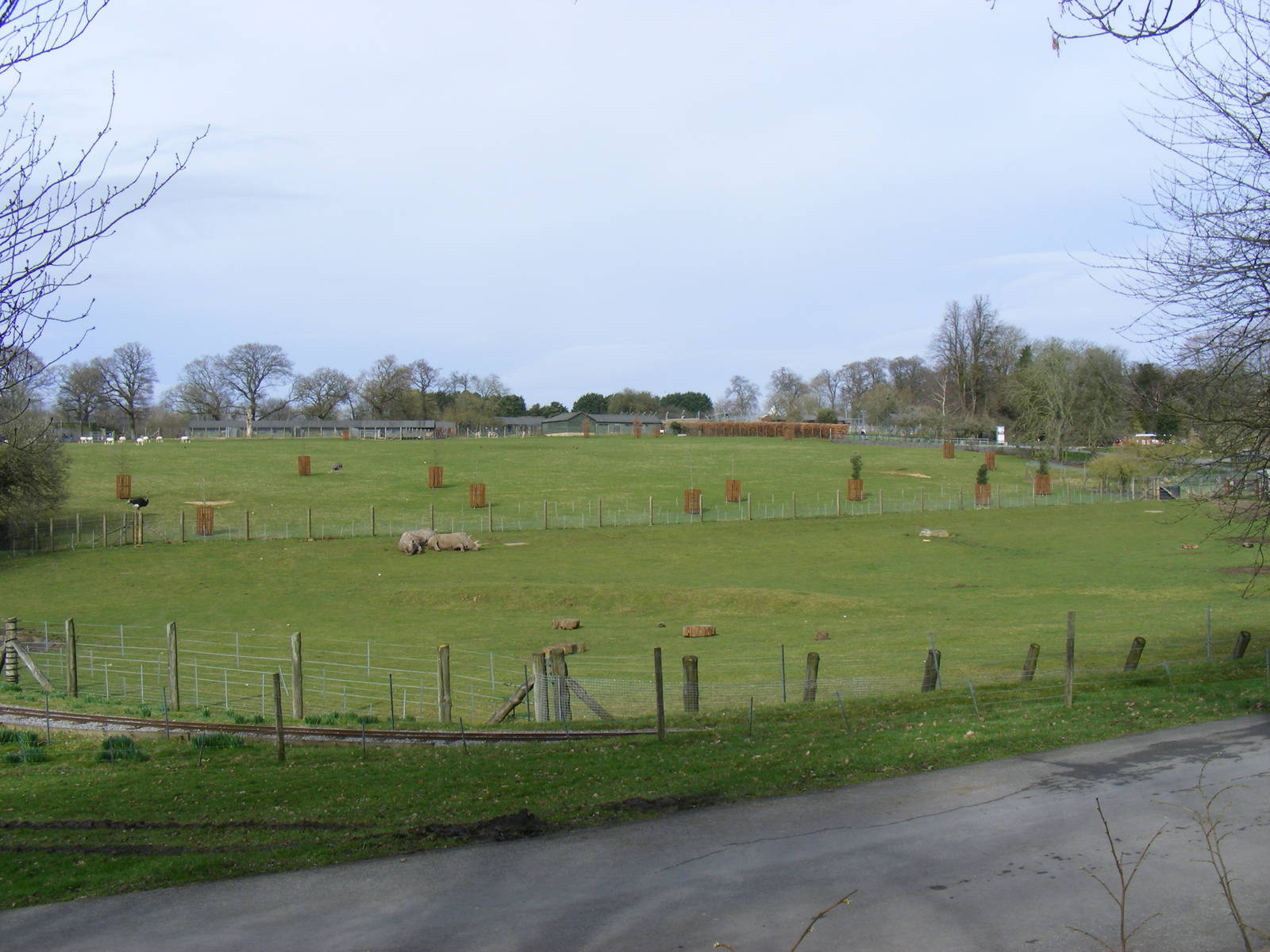 Enclosures for White Rhinos and Greater Kudus, and for Scimitar-horned Oryx