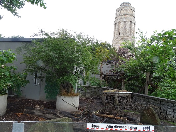 Enclosures for white-tailed porcupine (front) and binturong (back) (07/22)