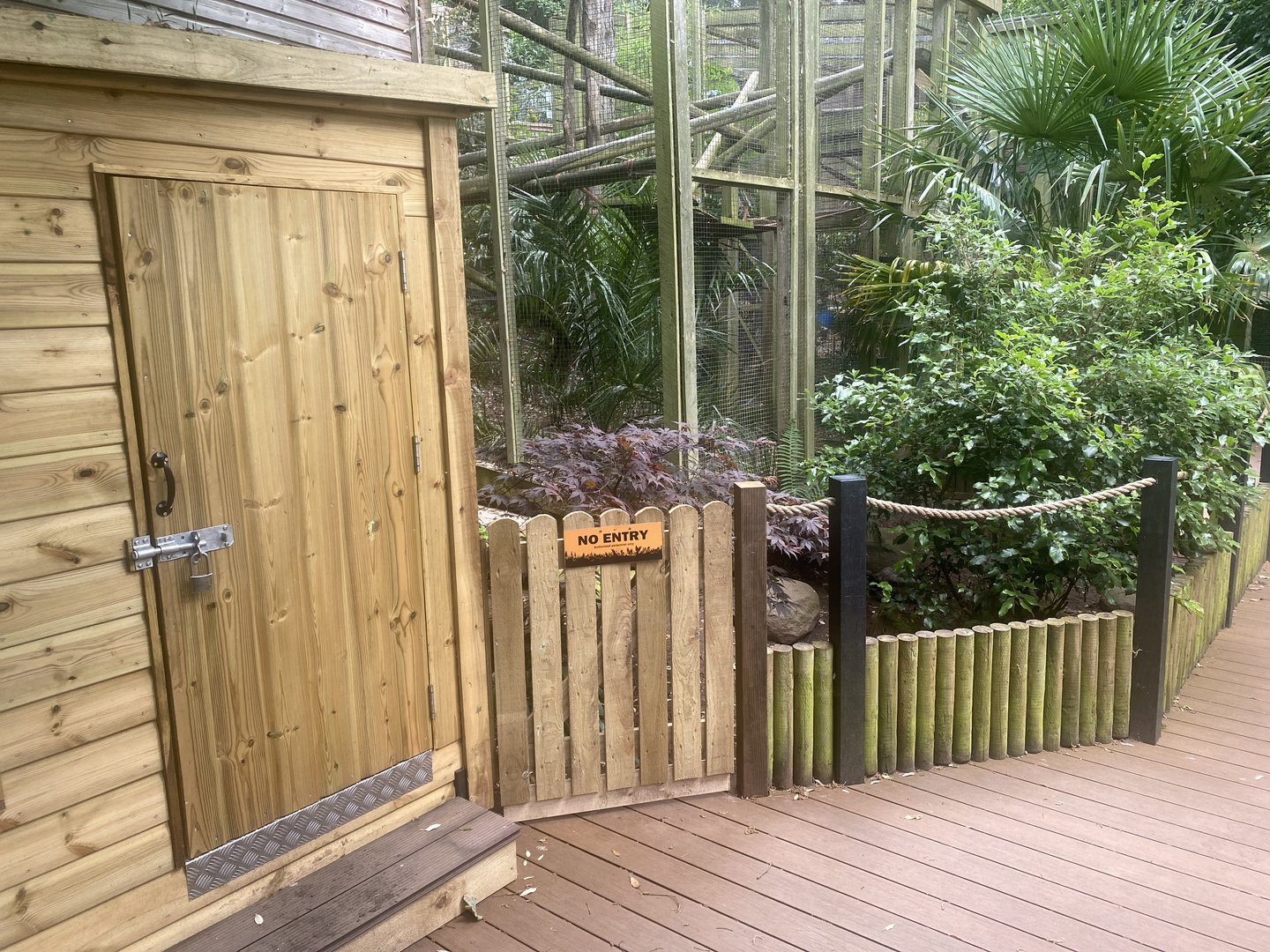 Enclosures for Yellow-footed tortoise and Binturong 250623