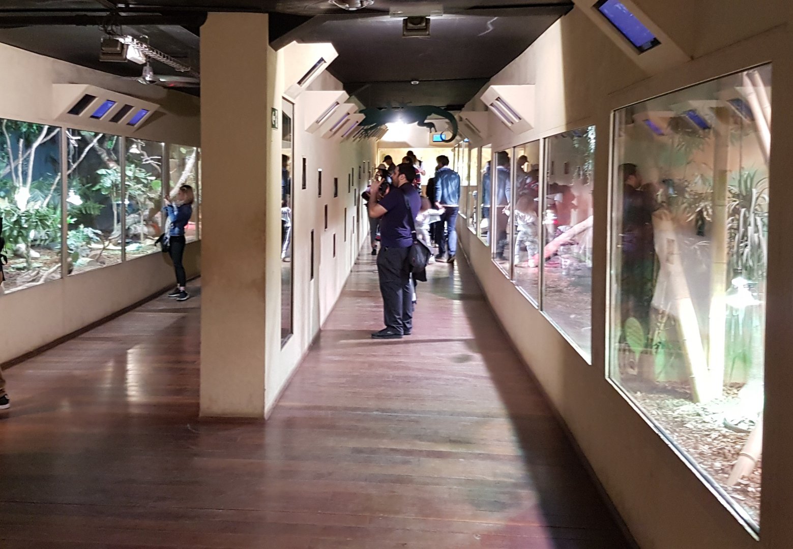 Enclosures in the Reptile Boat