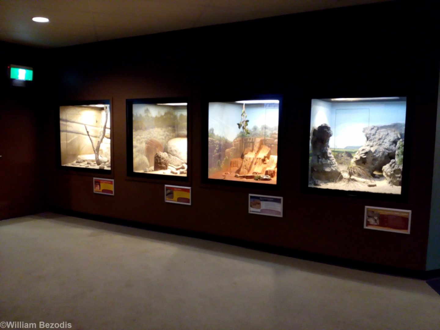 Enclosures in the Reptile House