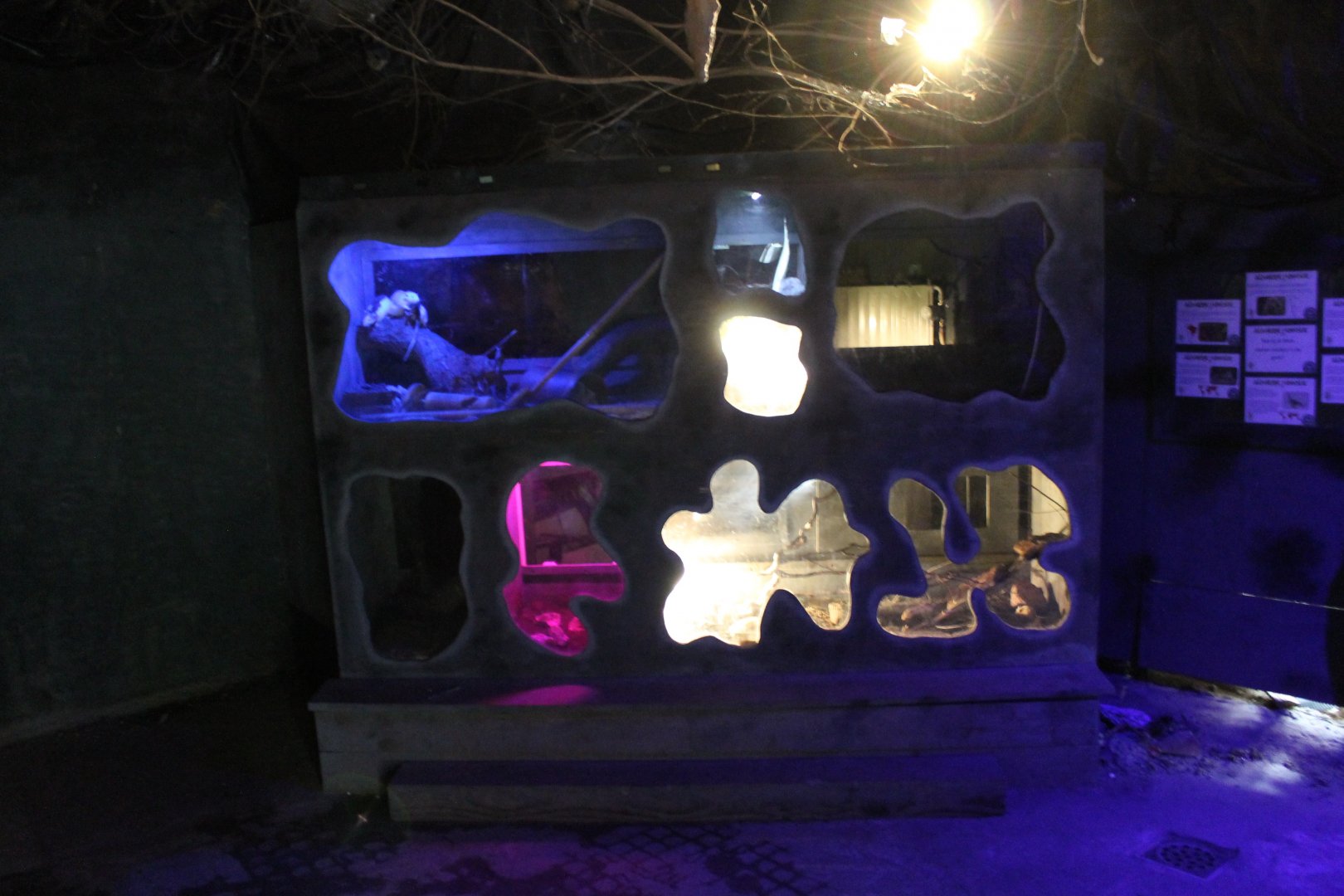 Enclosures Nocturnal creatures