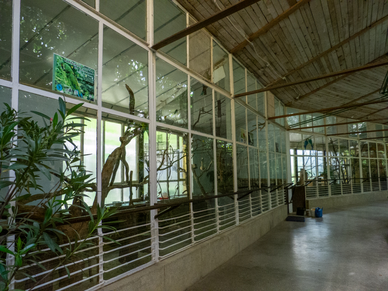 enclosures of bird house