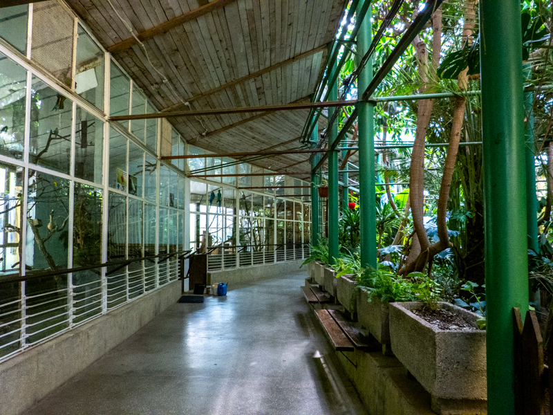 enclosures of bird house