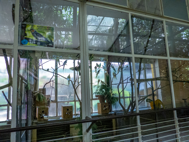 enclosures of bird house