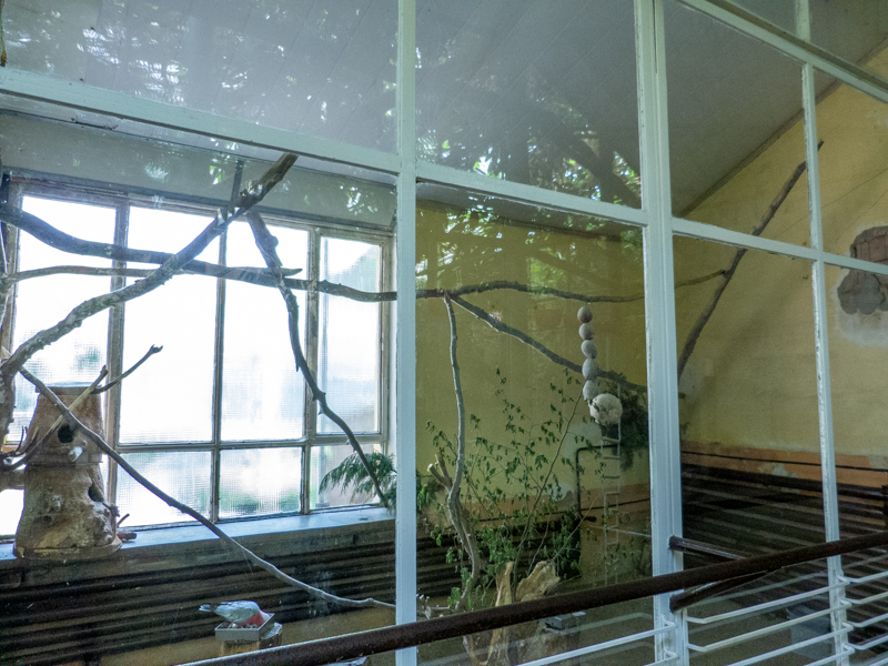 enclosures of bird house