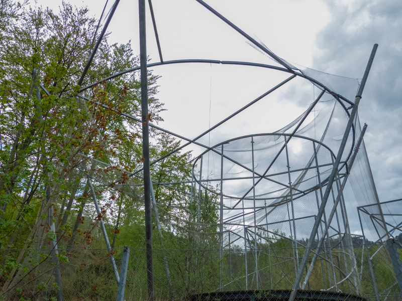 enclosures of birds of prey