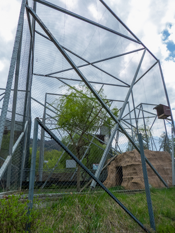 enclosures of birds of prey