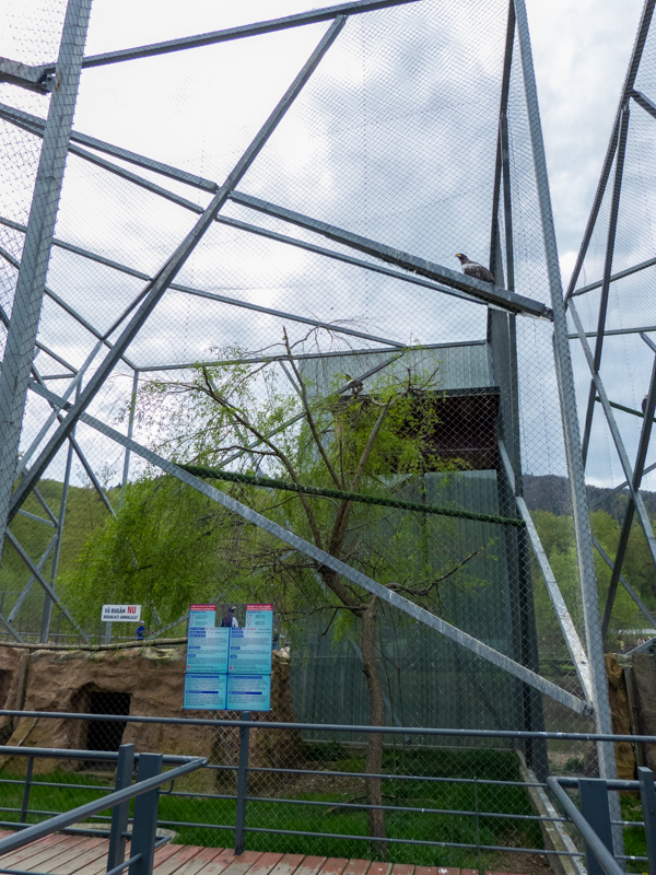 enclosures of birds of prey