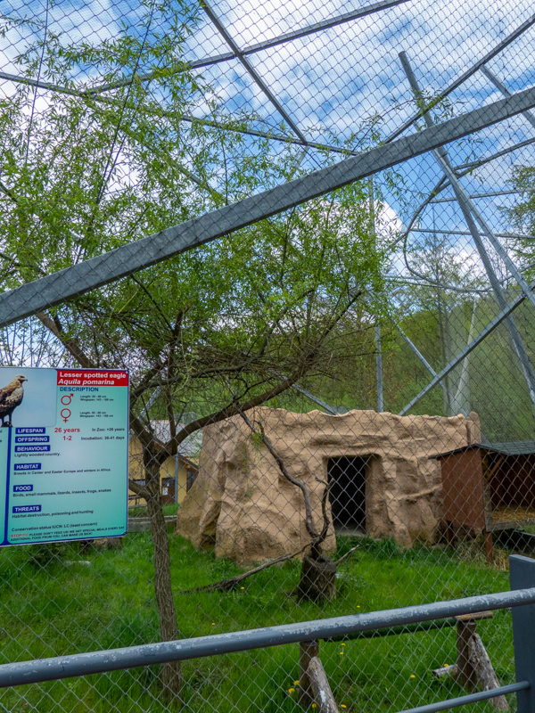 enclosures of birds of prey