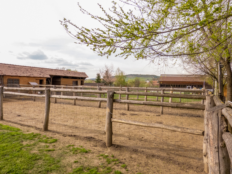 enclosures of donkeys and goats