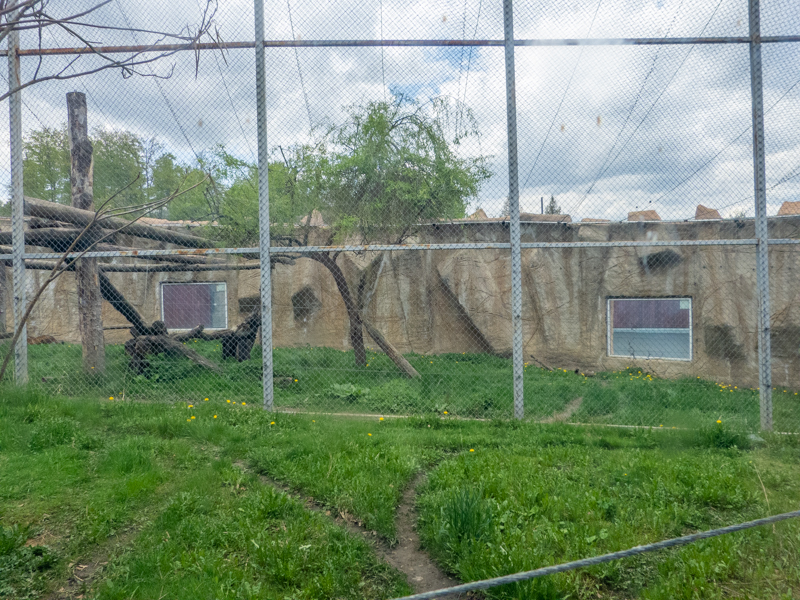 enclosures of jaguar