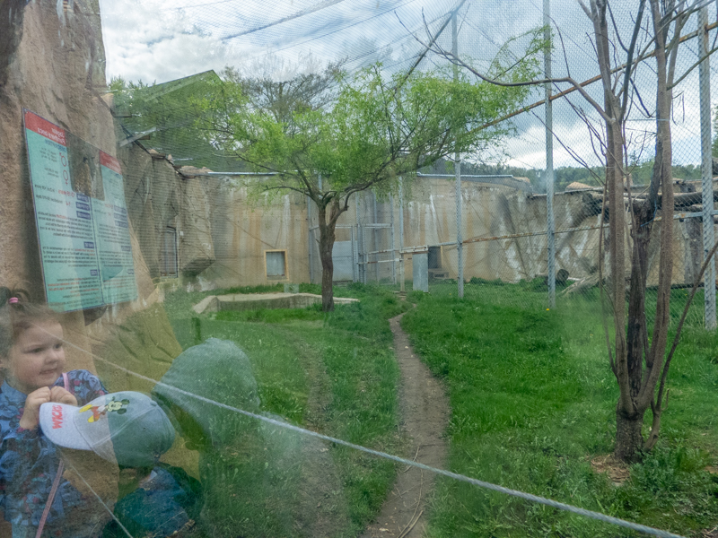 enclosures of jaguar