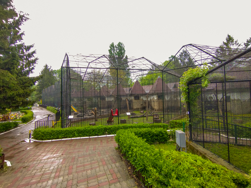 enclosures of monkeys