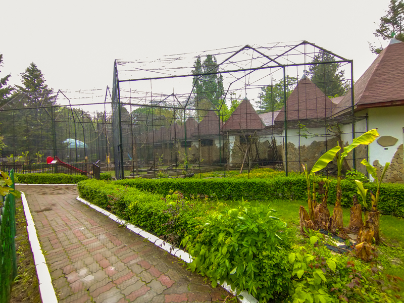 enclosures of monkeys