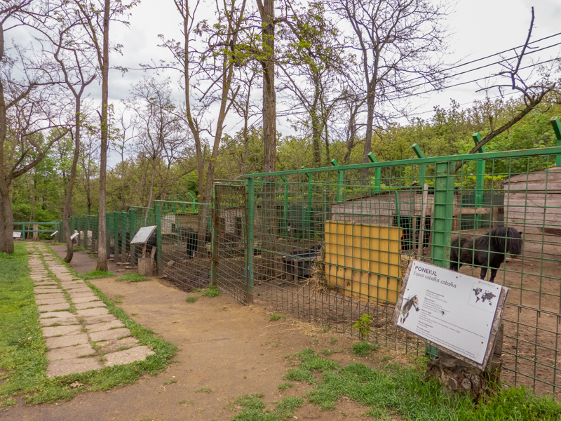 enclosures of ponies and donkeys