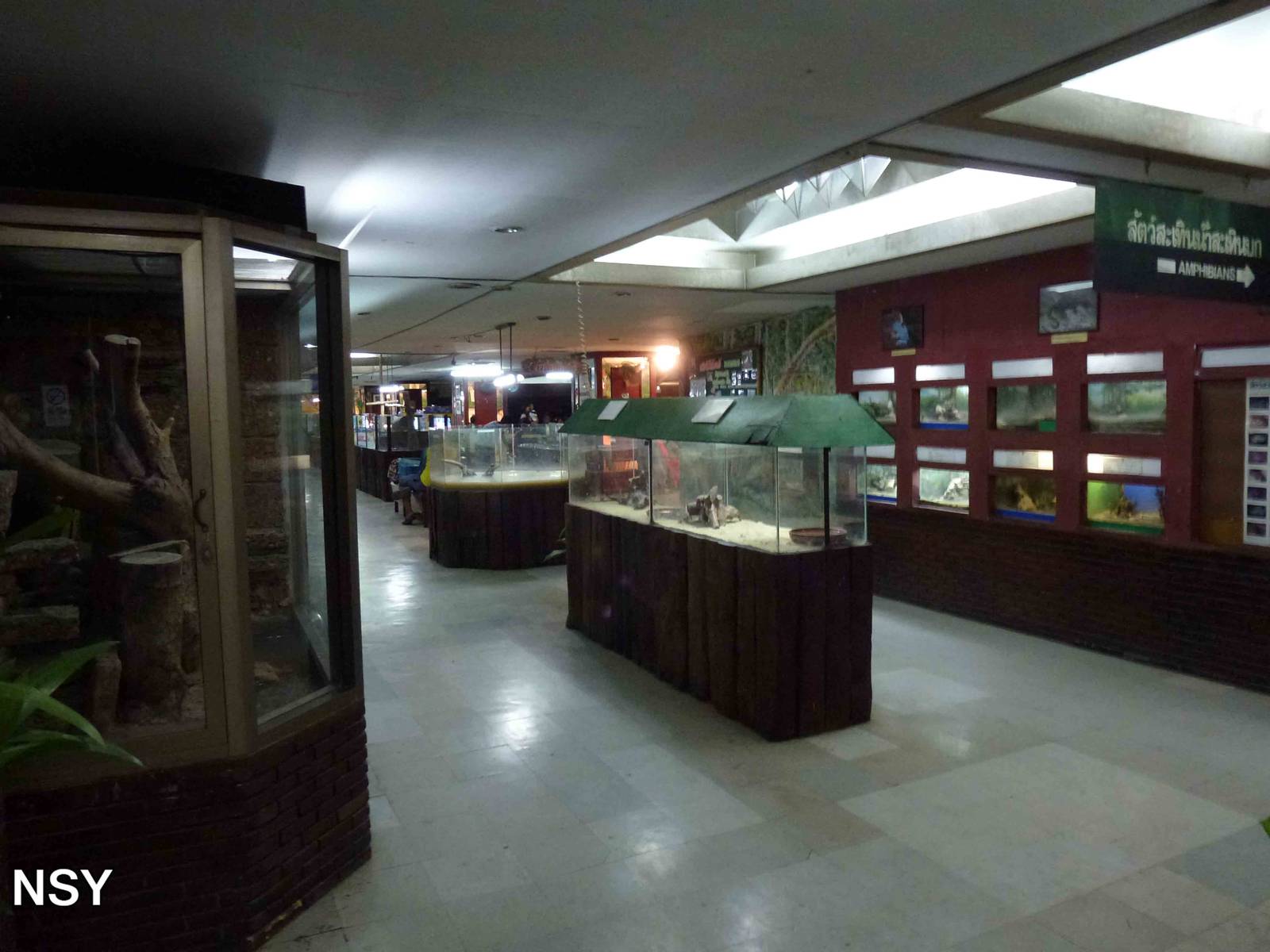 Enclosures on lower floor, June 2013.