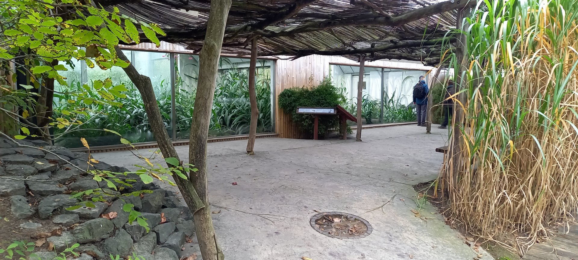 Enclosures Shoebills