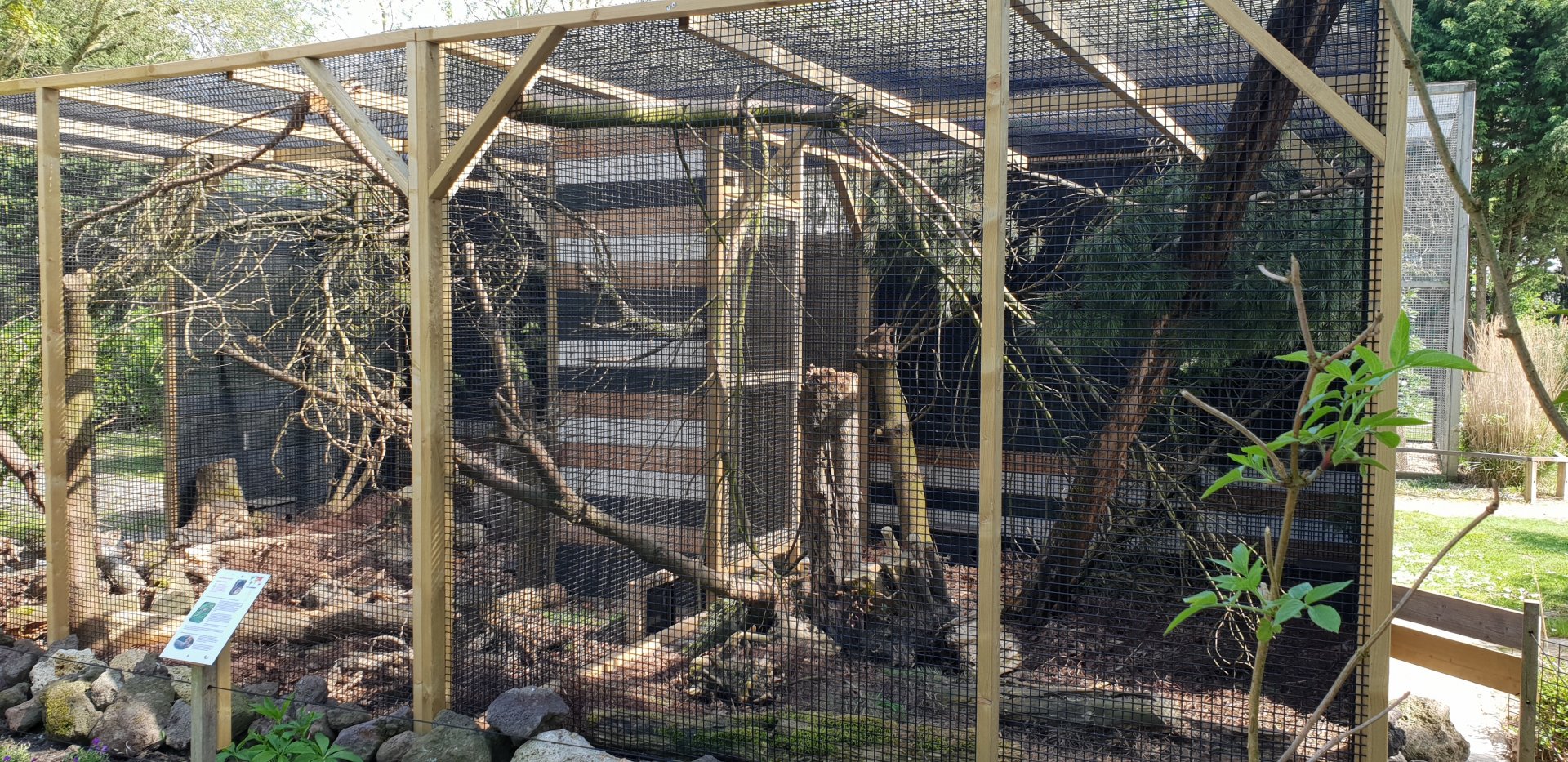 Enclosures Siberian weasel