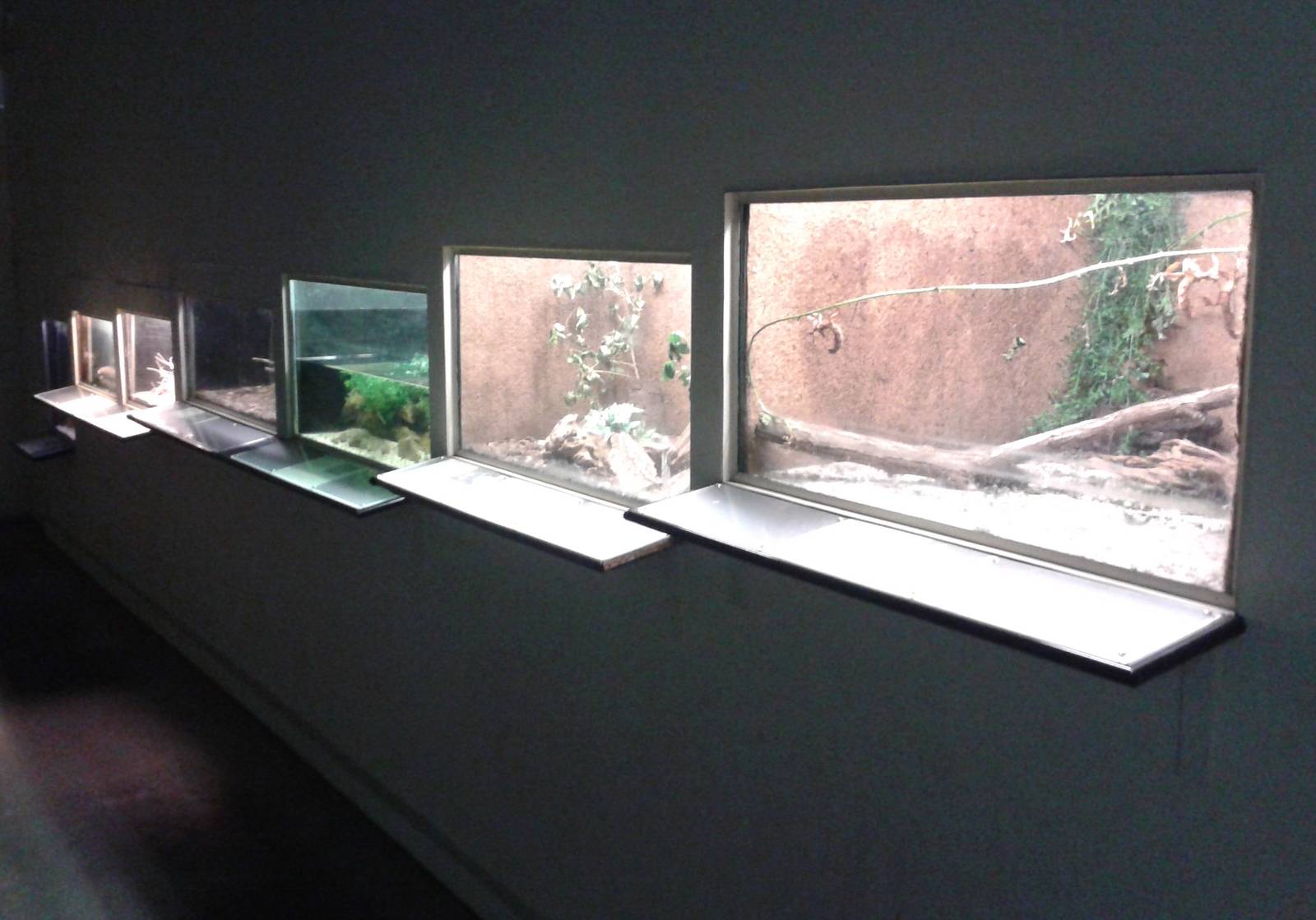 Enclosures smaller animals