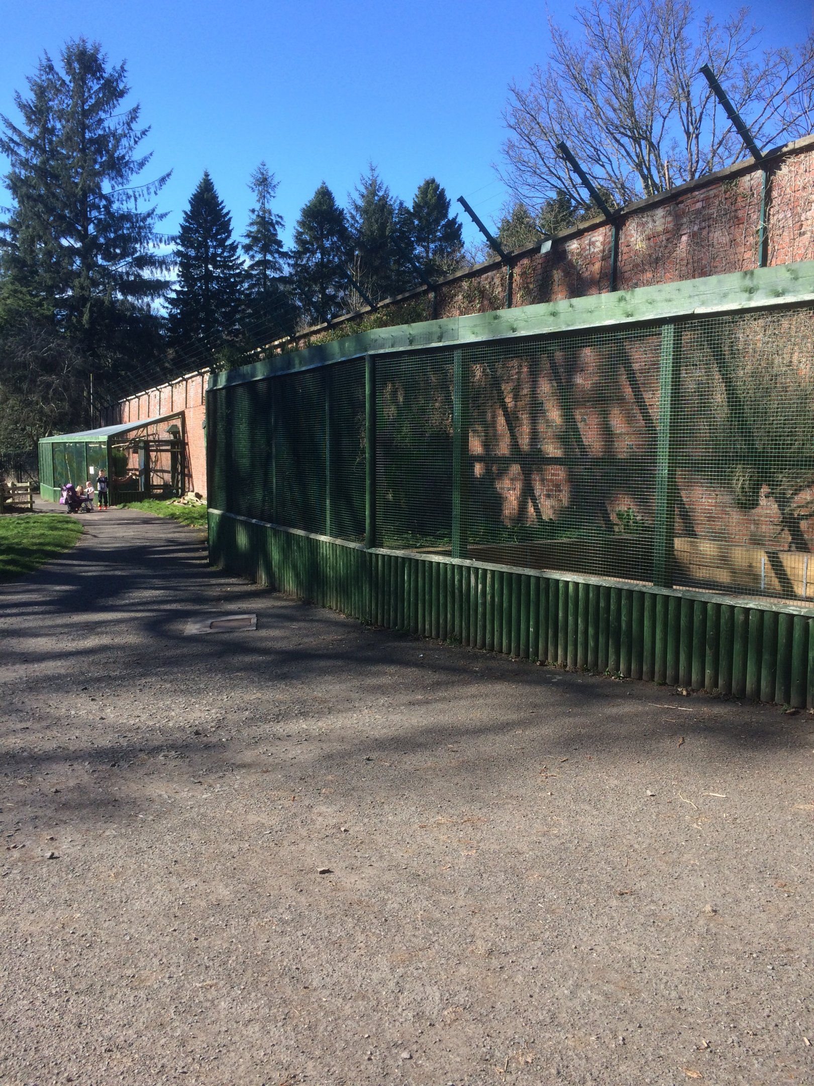 Enclosures under refurbishment.