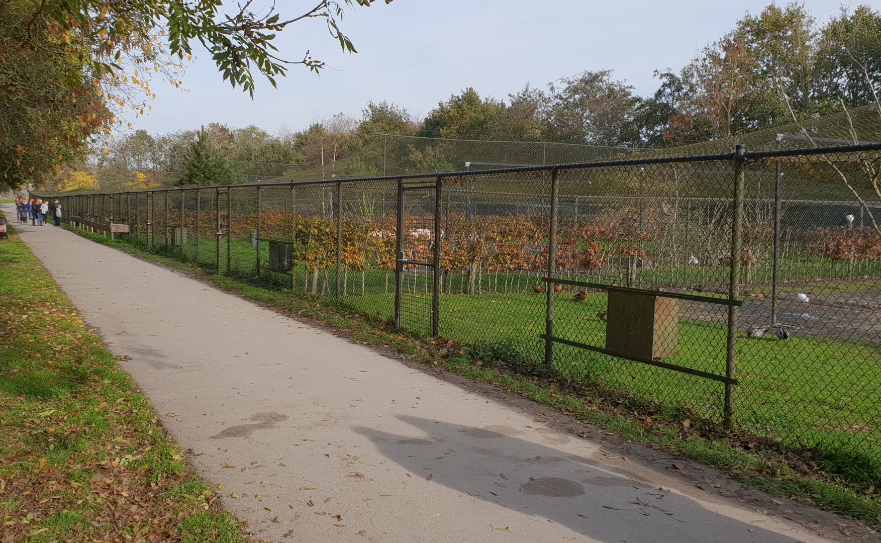 Enclosures Waders and Waterfowl