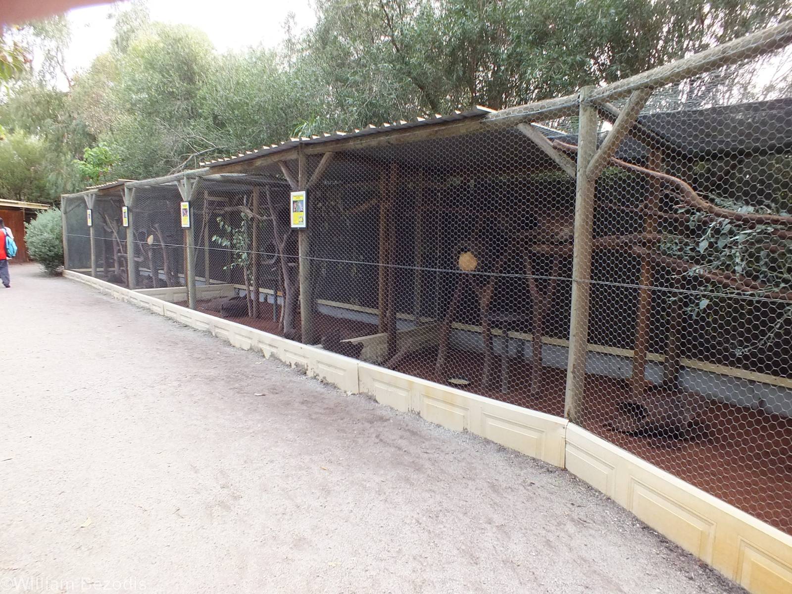 Enclosures with Bettongs and Brushtail Possums - Caversham Wildlife Park