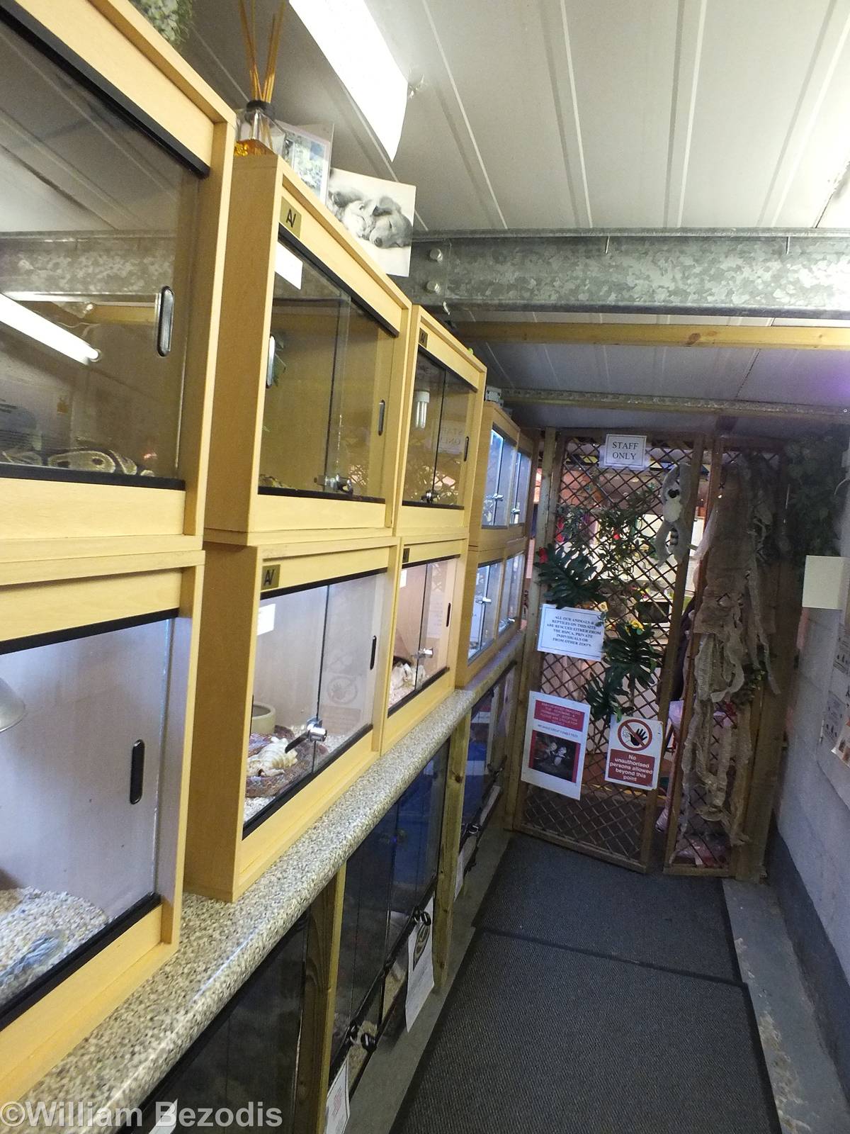 Enclosures with Reptiles in Need of Re-homing