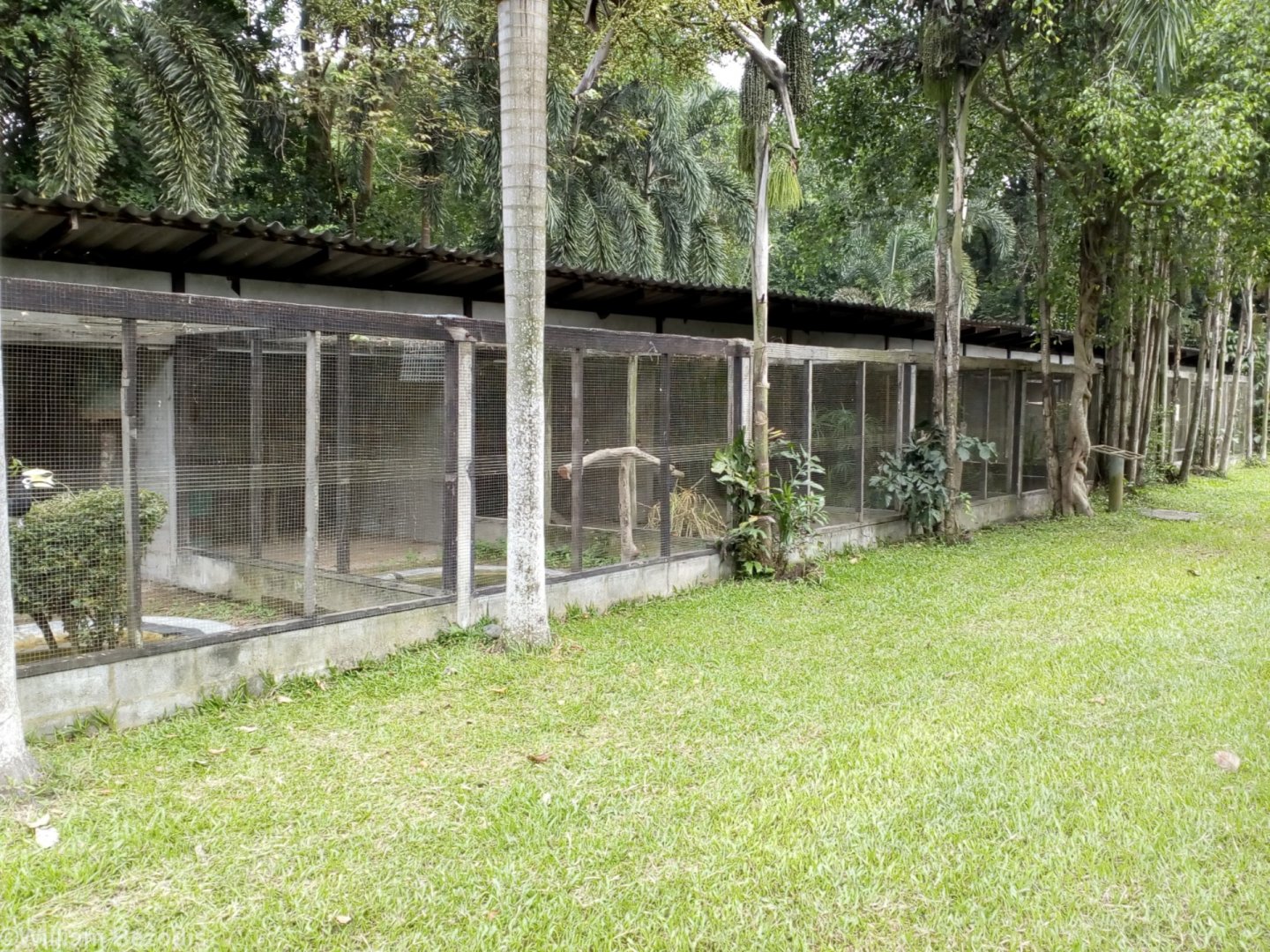 Enclosures with Various Species