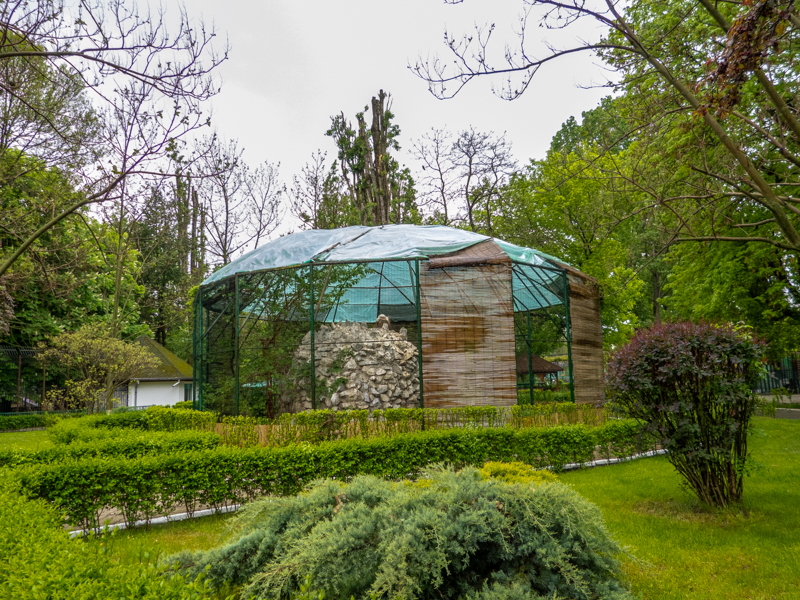 encosure of Eurasian griffon vulture