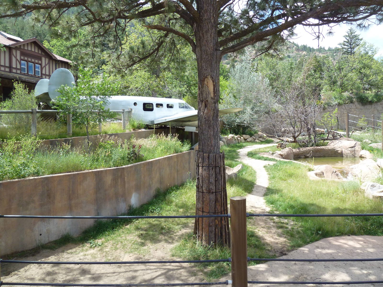 Encounter Africa - Black Rhino Exhibit (New in 2013)
