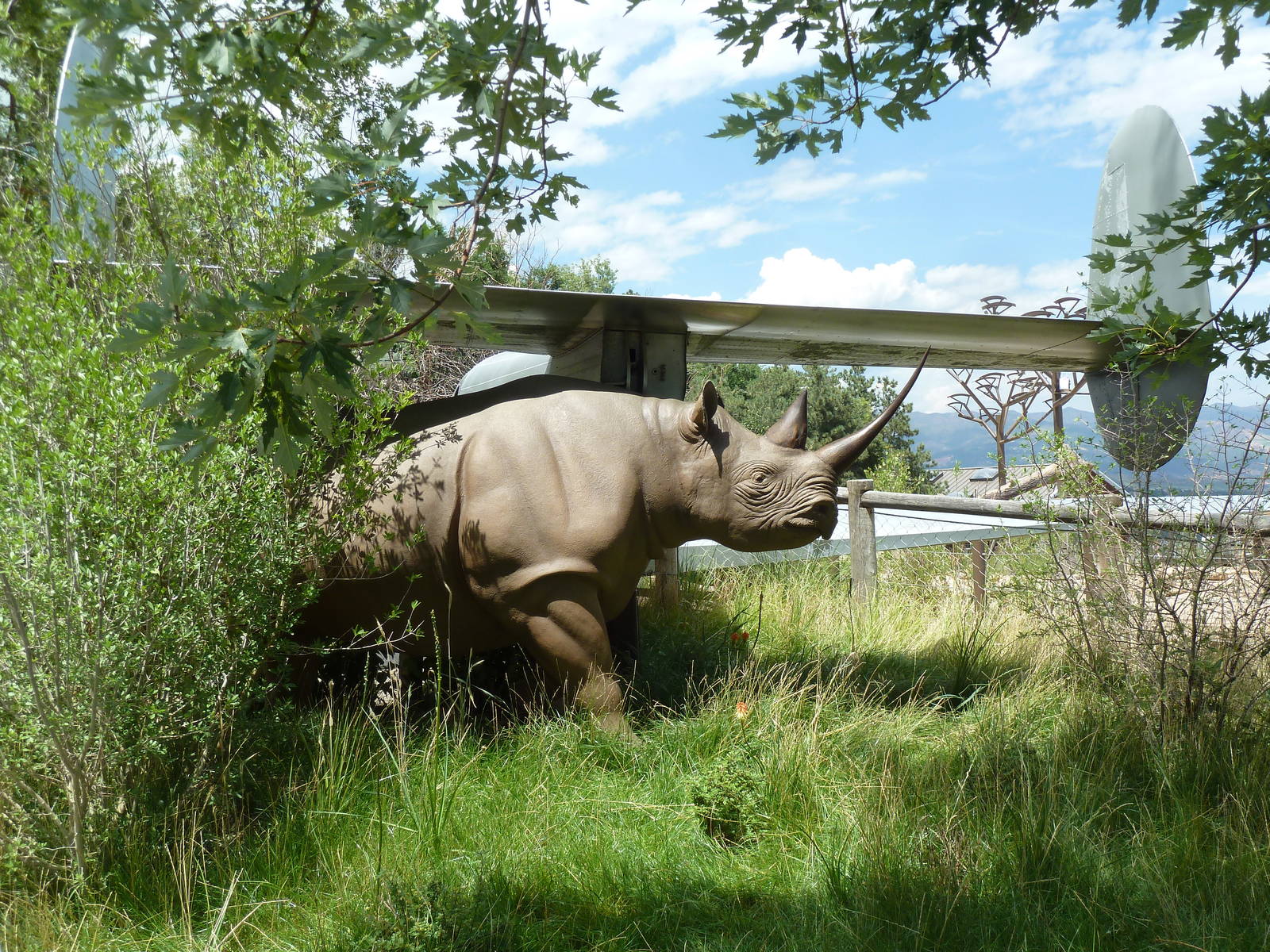 Encounter Africa - Black Rhino Shoots Water! (New in 2013)