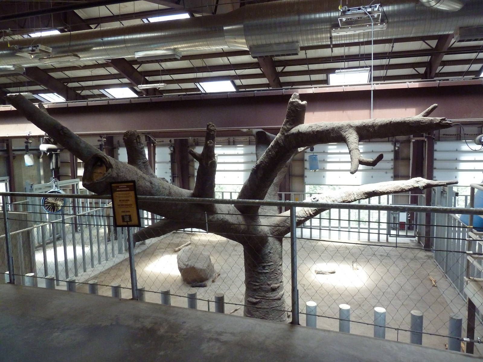 Encounter Africa - Elephant Exhibit Barn (New in 2013)