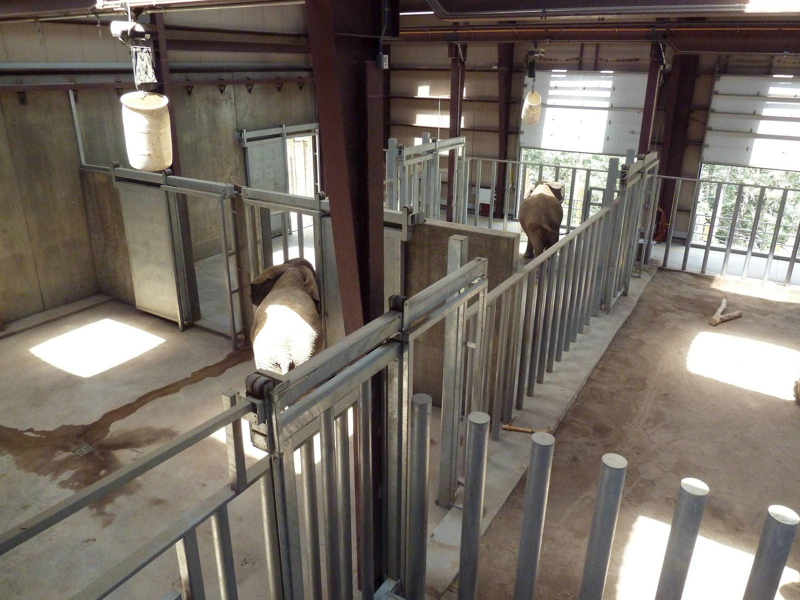 Encounter Africa - Elephant Exhibit Barn (New in 2013)