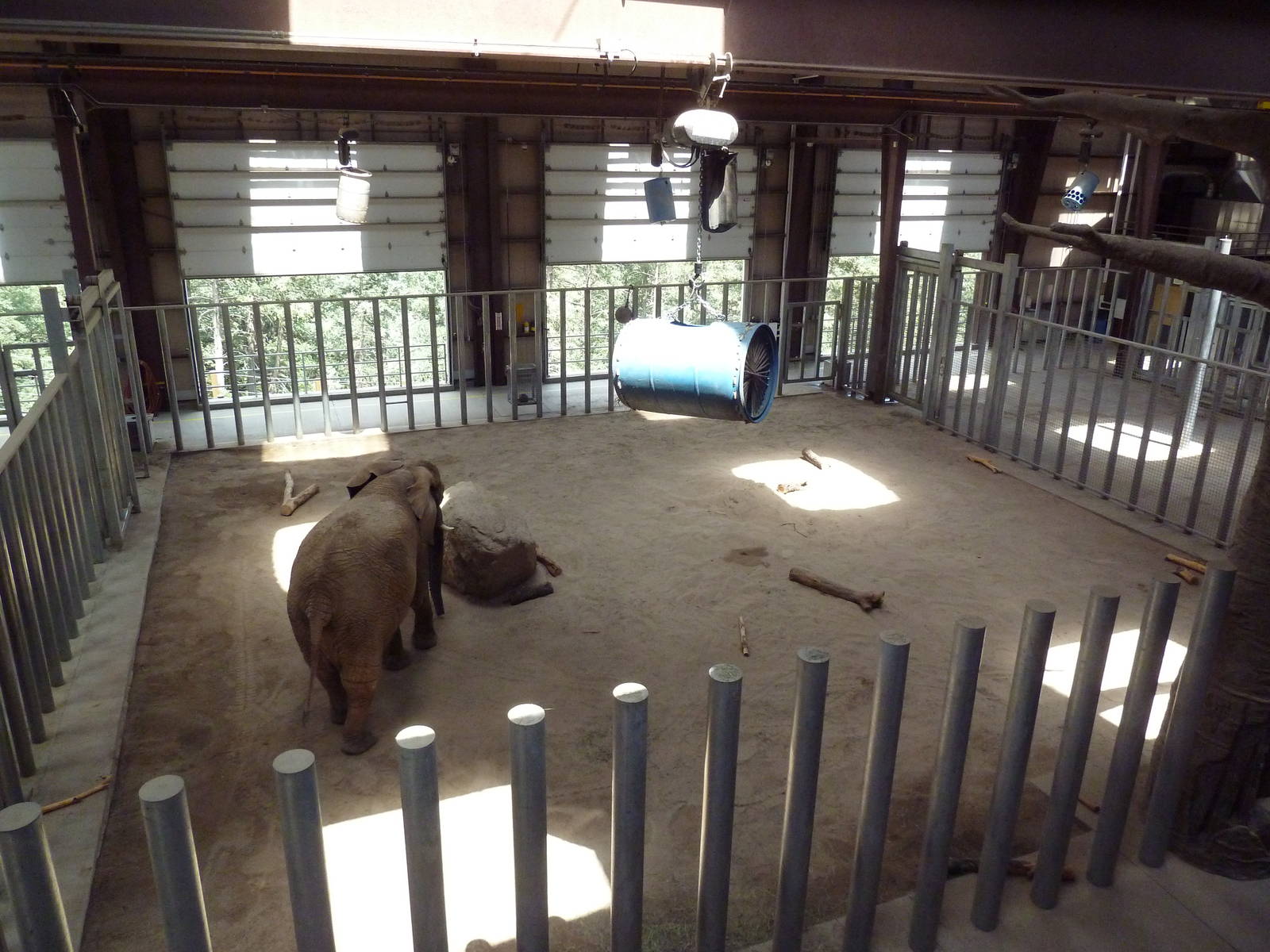 Encounter Africa - Elephant Exhibit Barn (New in 2013)