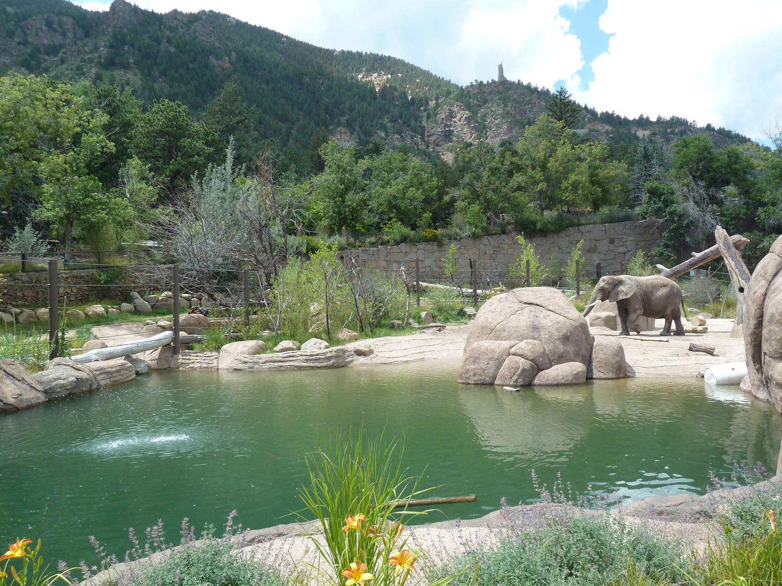 Encounter Africa - Elephant Exhibit (New in 2013)