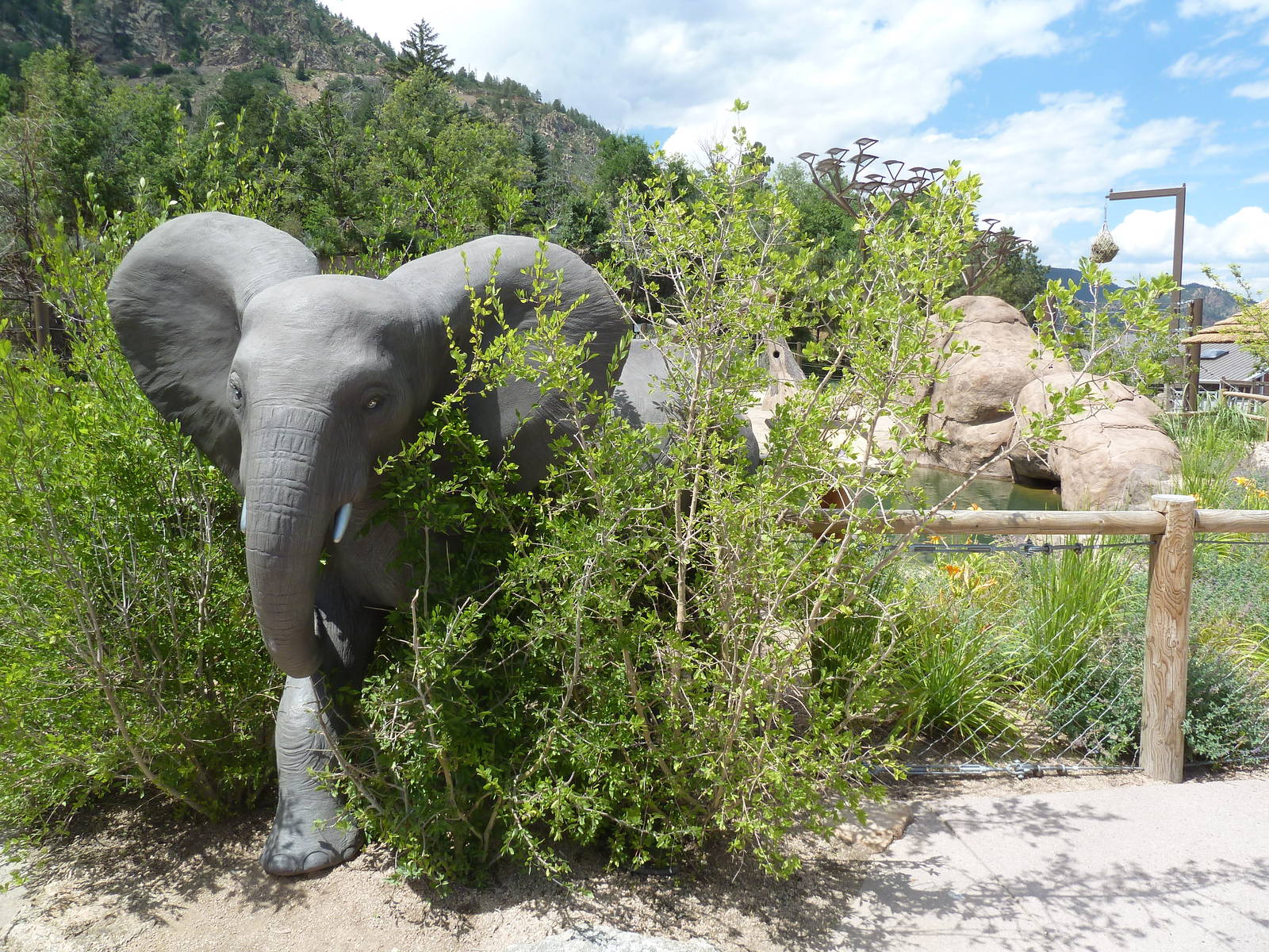 Encounter Africa - Elephant Exhibit Statue (New in 2013)