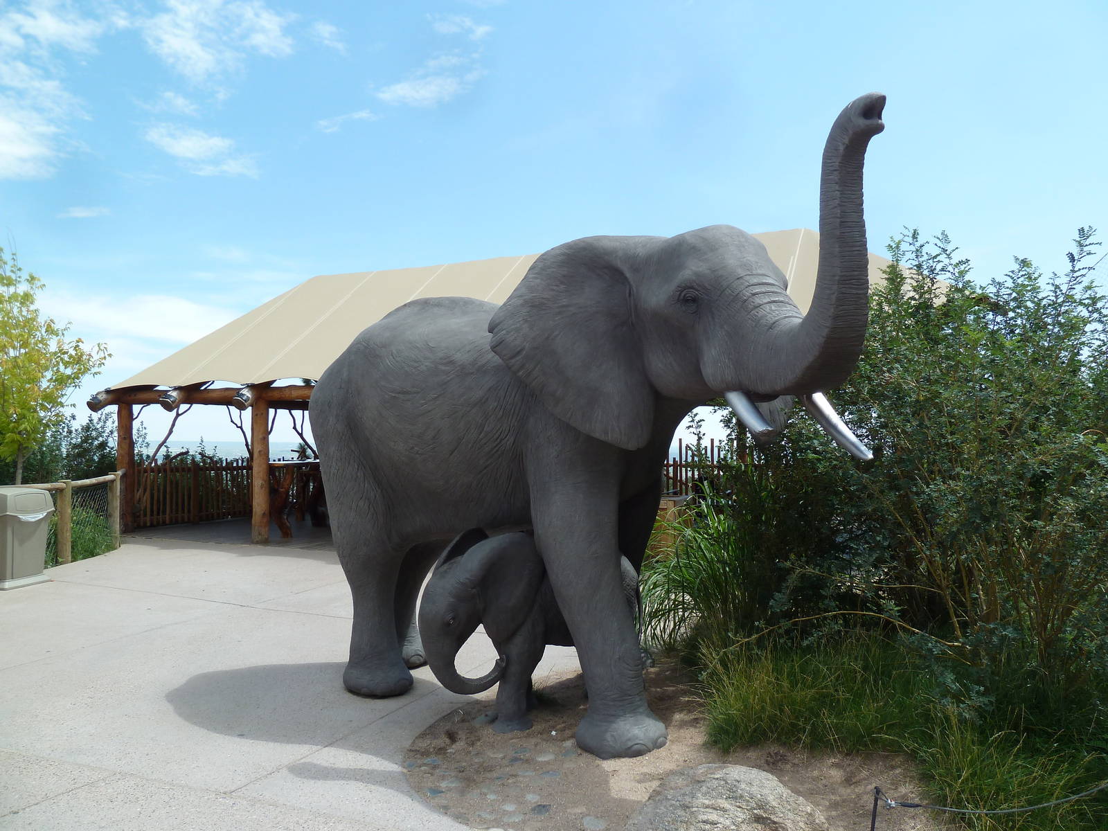 Encounter Africa - Elephant Exhibit Statues (New in 2013)