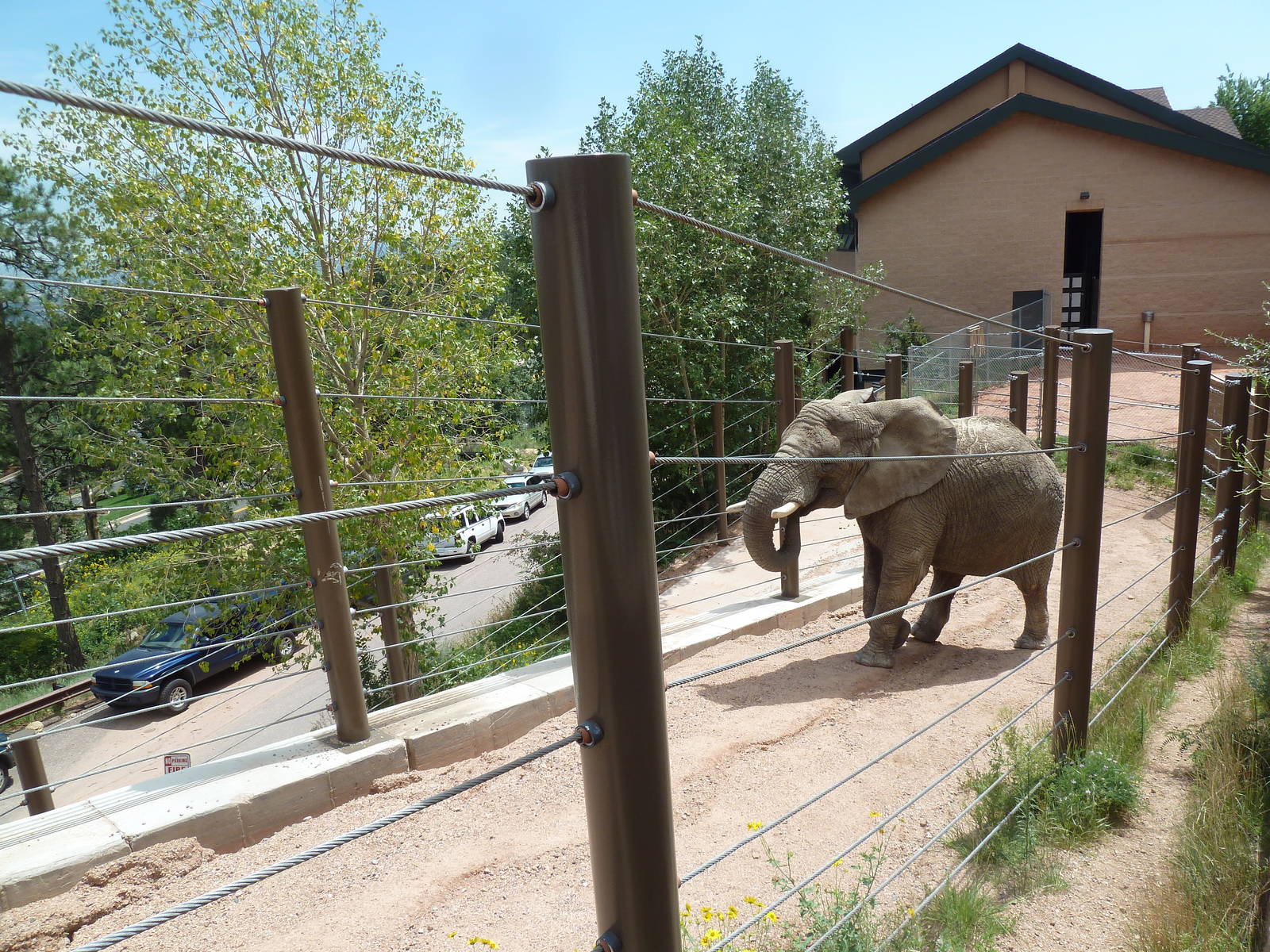 Encounter Africa - Elephant Exhibit Trail (New in 2013)