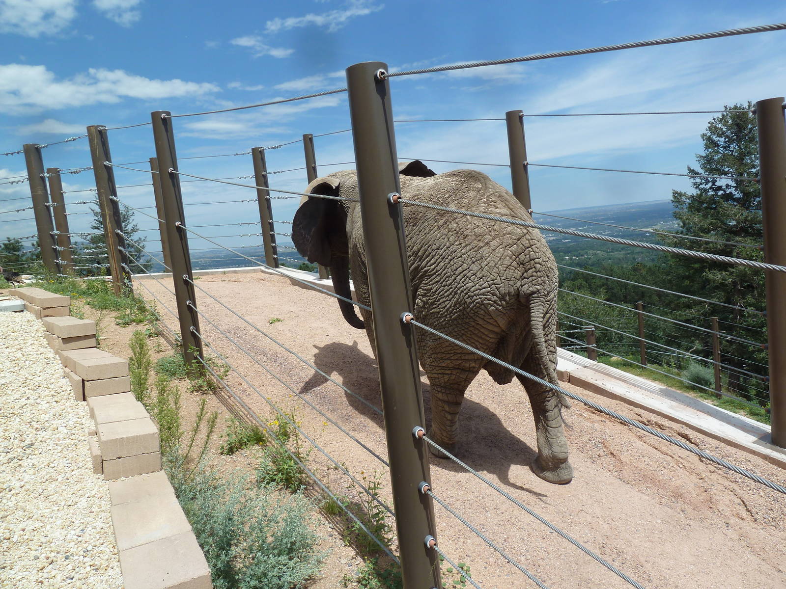 Encounter Africa - Elephant Exhibit Trail (New in 2013)