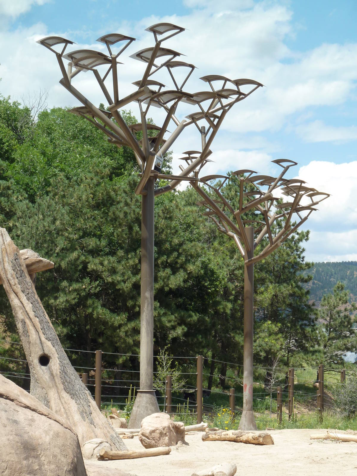 Encounter Africa - Elephant Exhibit Trees (New in 2013)
