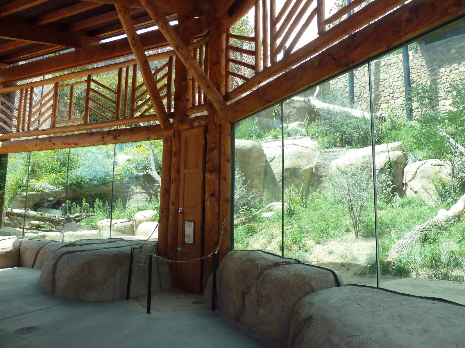 Encounter Africa - Lion Exhibit (New in 2013)