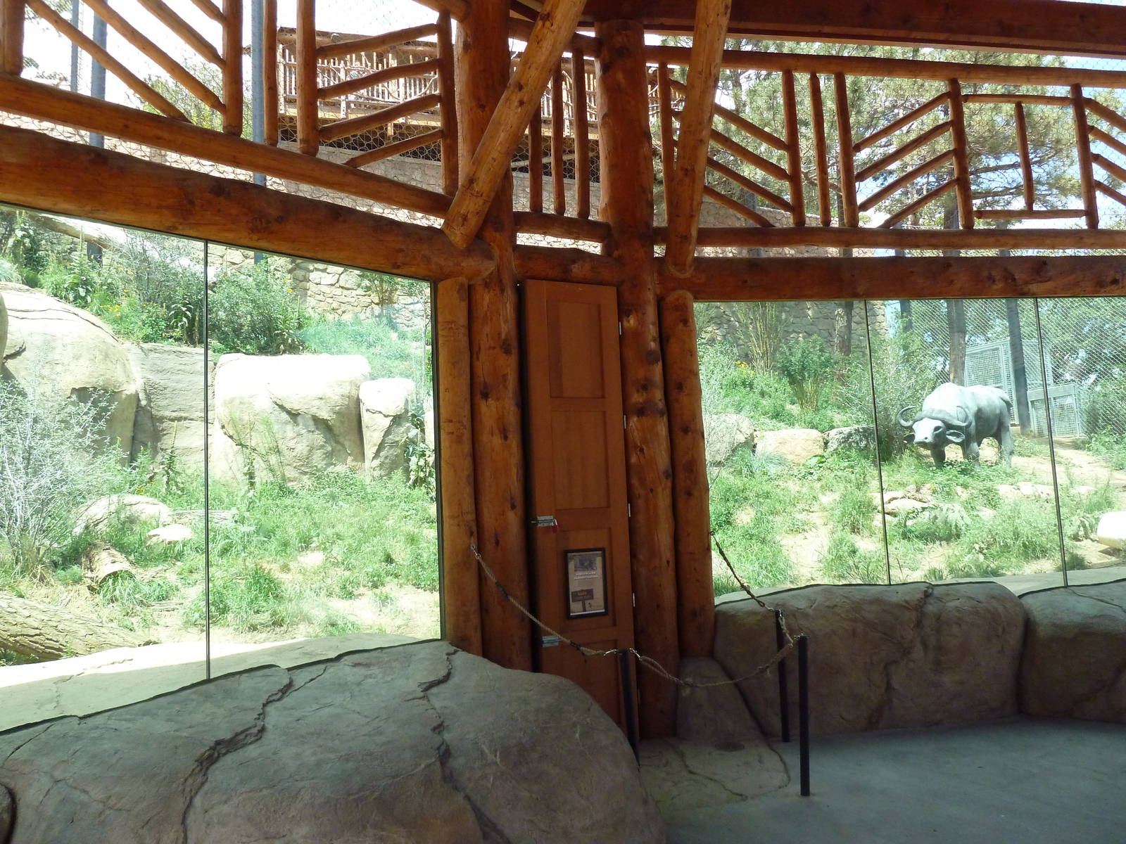 Encounter Africa - Lion Exhibit (New in 2013)