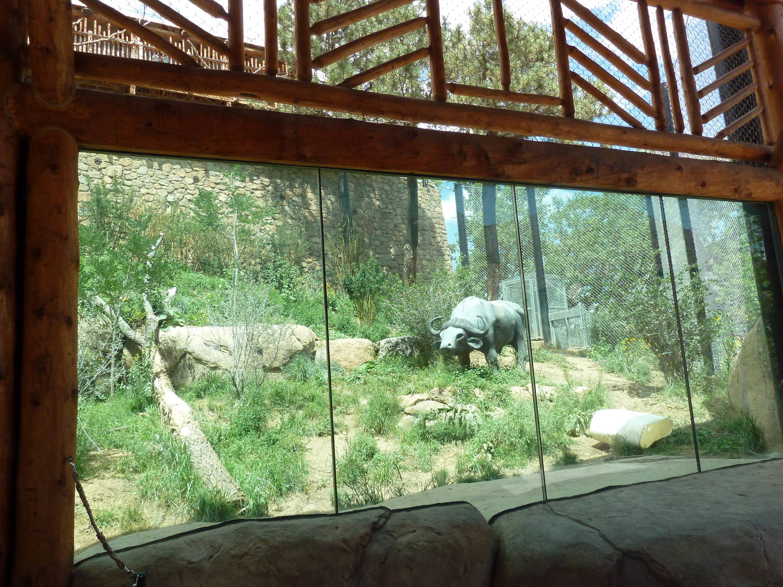 Encounter Africa - Lion Exhibit (New in 2013)