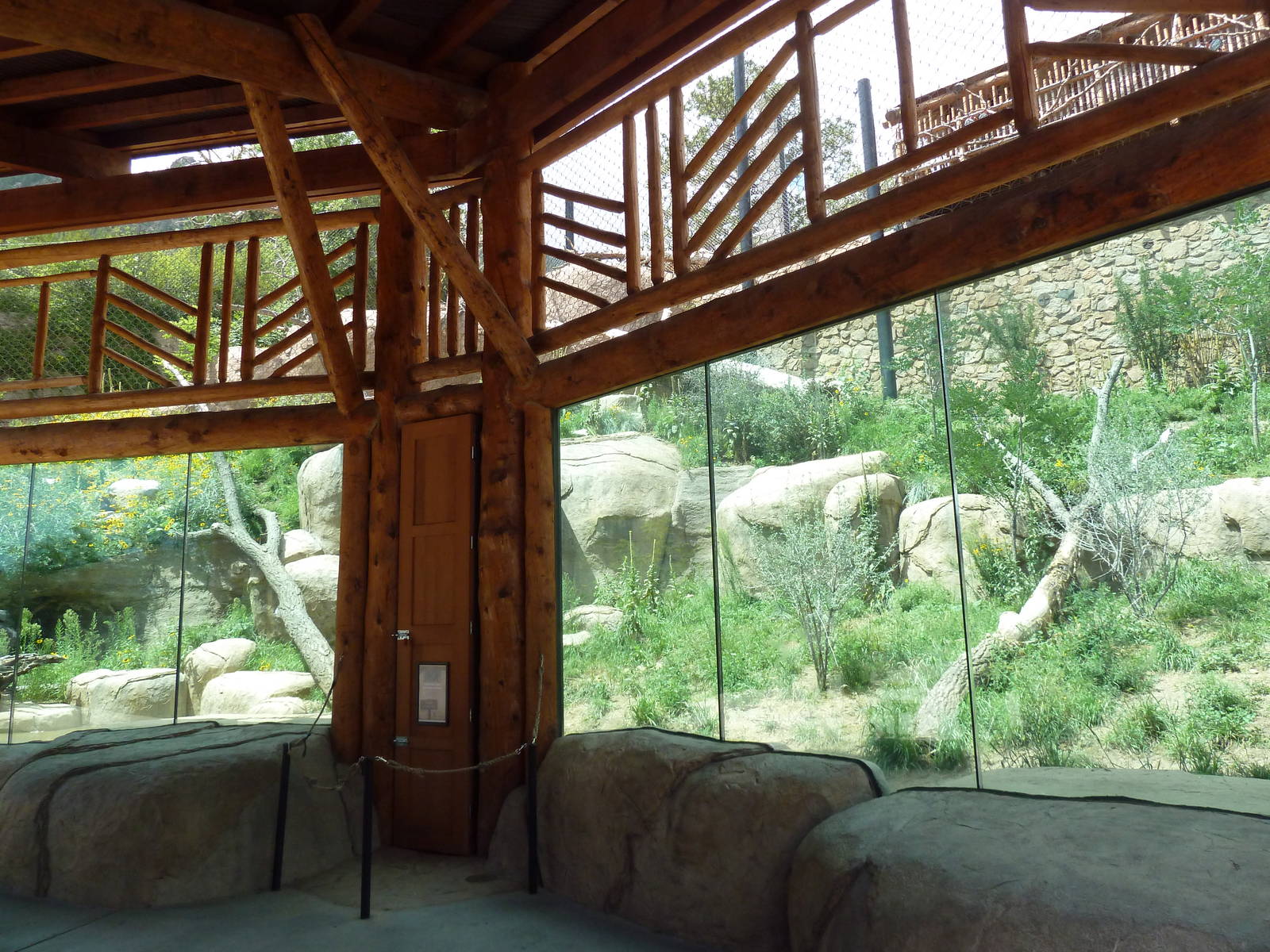 Encounter Africa - Lion Exhibit (New in 2013)