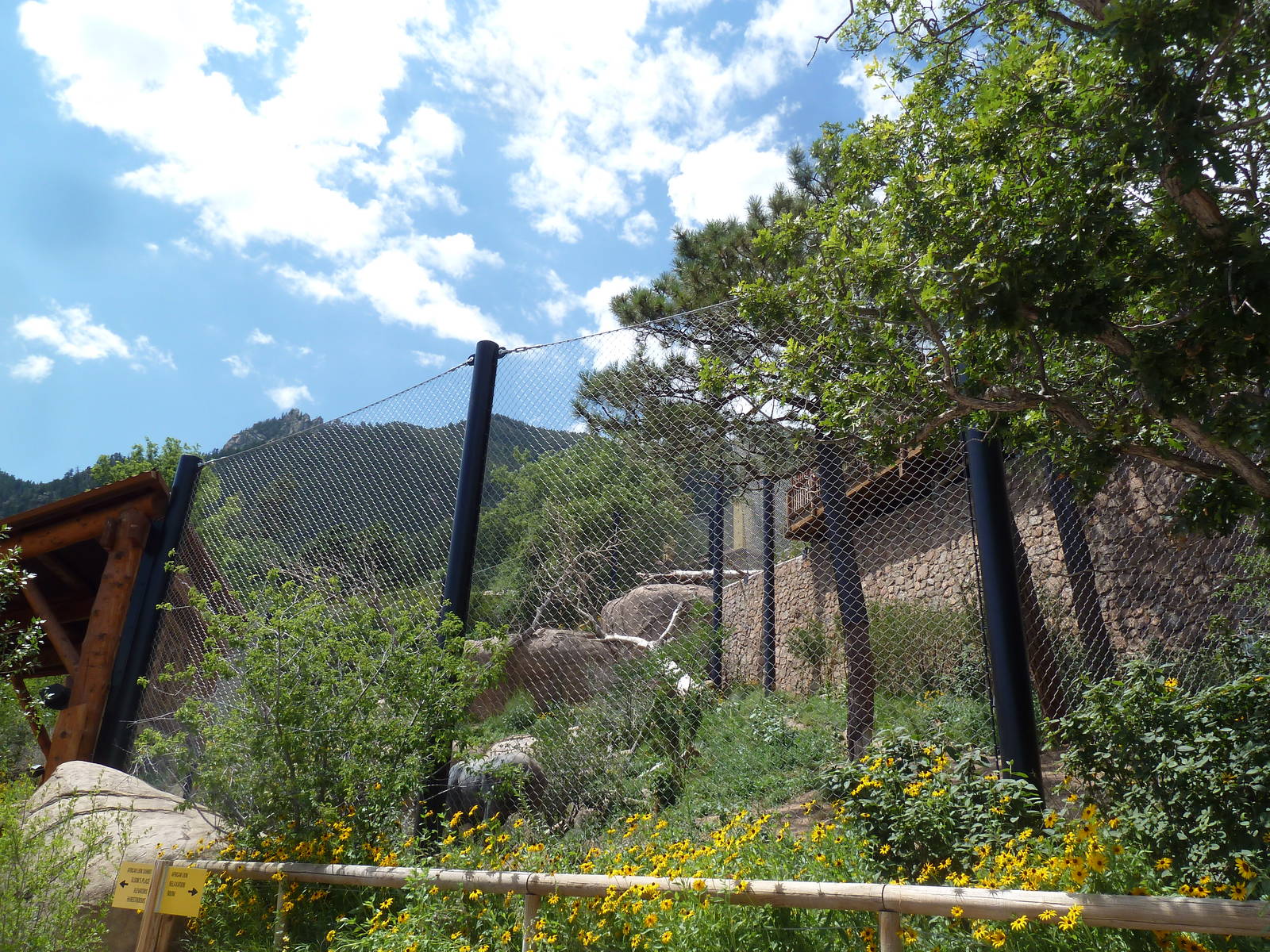 Encounter Africa - Lion Exhibit Side View (New in 2013)