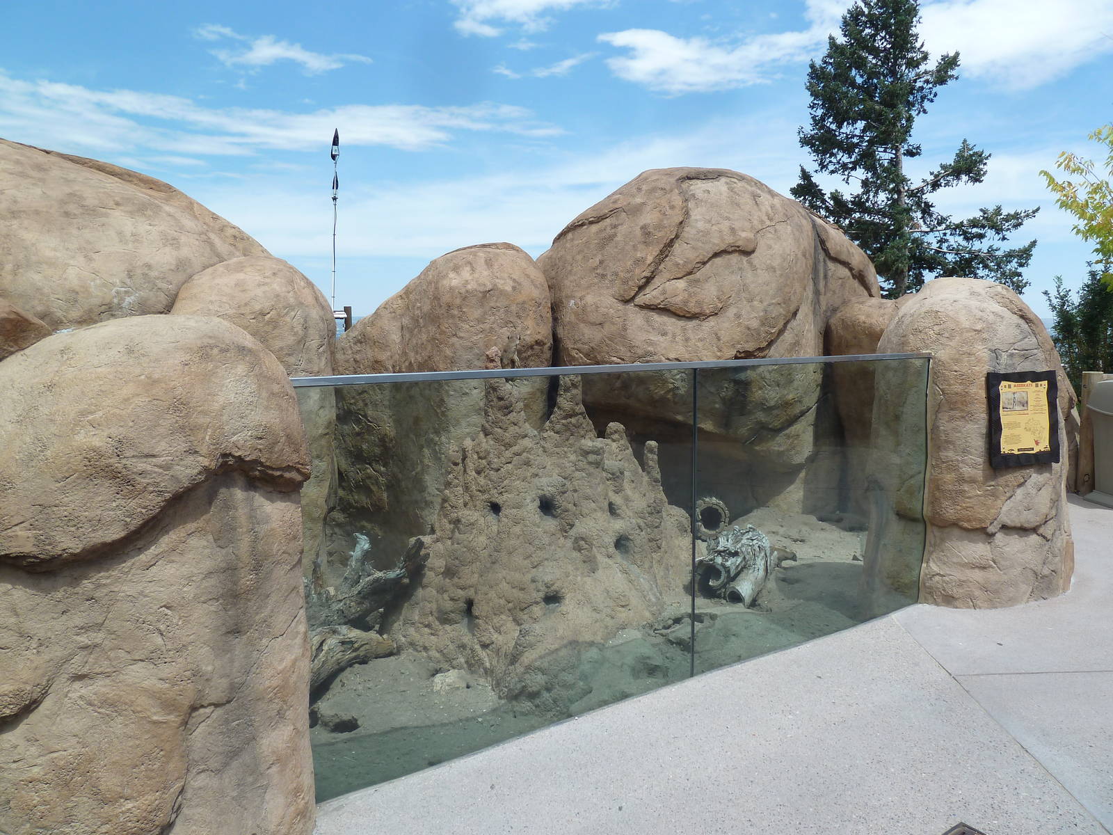 Encounter Africa - Meerkat Exhibit (New in 2013)