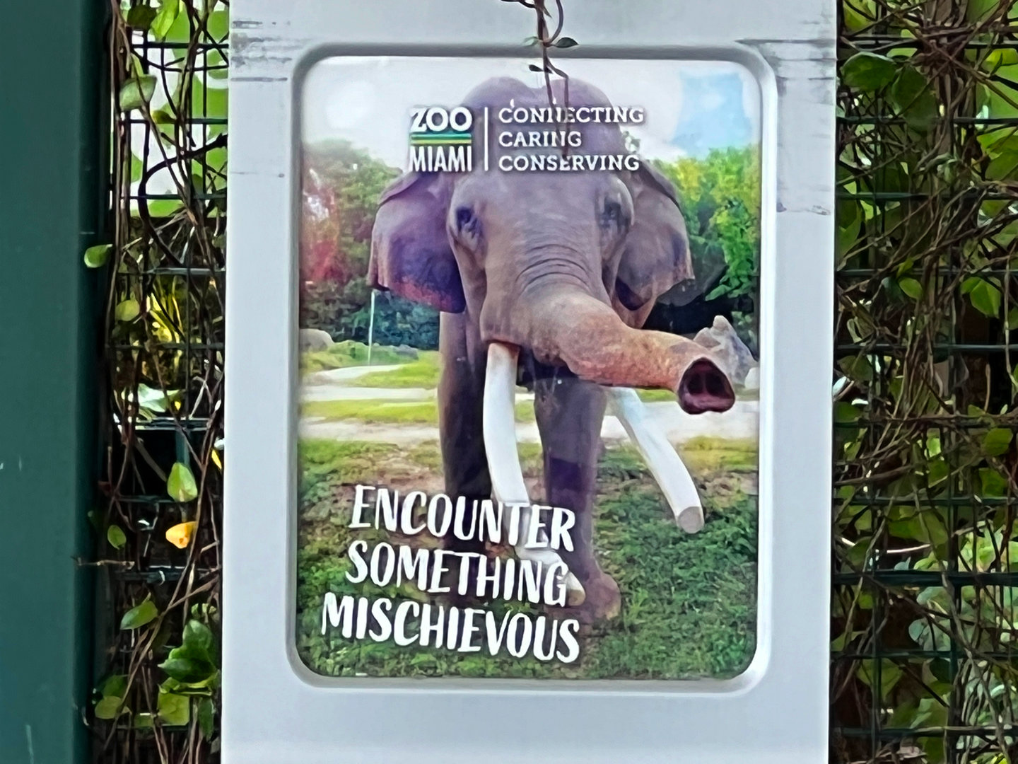 Encounter Something Mischevious Sign